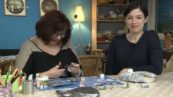 Motýle v RTVS