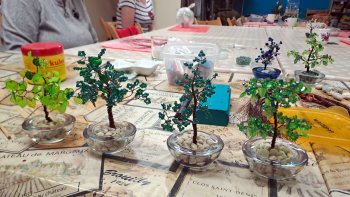 Stromčeky šťastia 2025